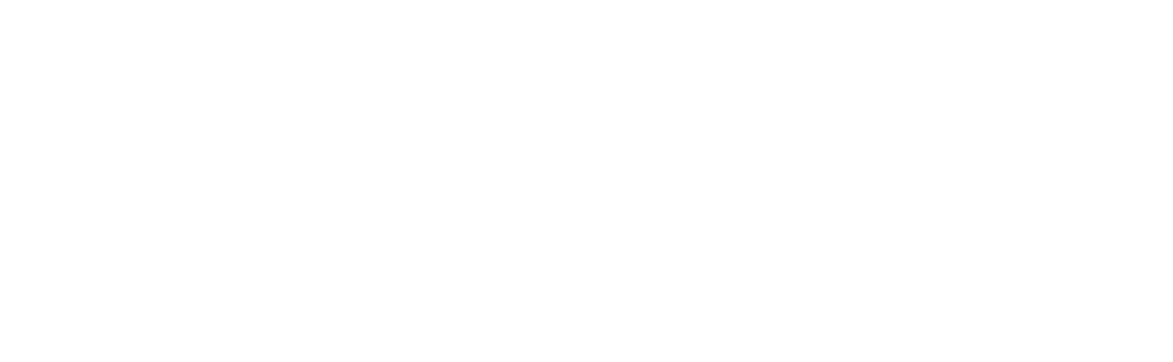First Georgetown Ventures Inc